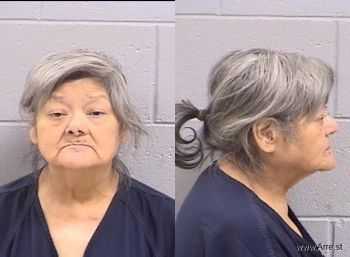 Diana  Martinez Mugshot