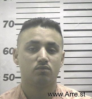 Diego M Acuna Mugshot