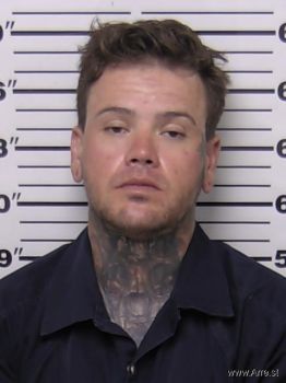 Dillon Stuart Haley Mugshot