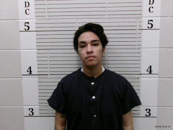 Dominique  Gallegos Mugshot