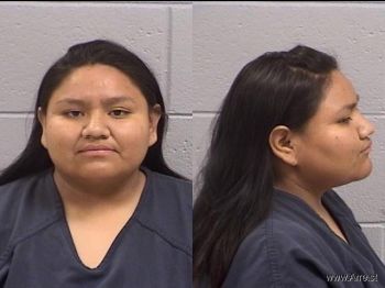 Dominique Dianne Willeto Mugshot