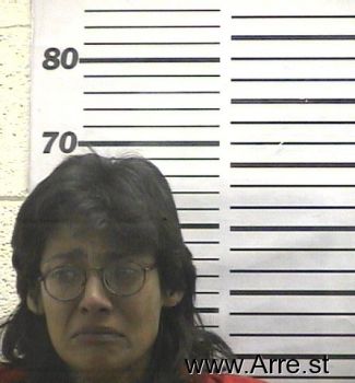 Donna  Chavez Mugshot