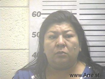 Donna  Martinez Mugshot