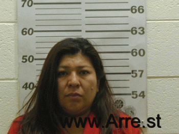 Donna  Martinez Mugshot