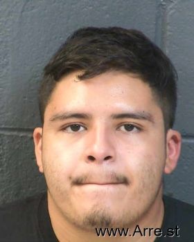 Eddie  Martinez Mugshot