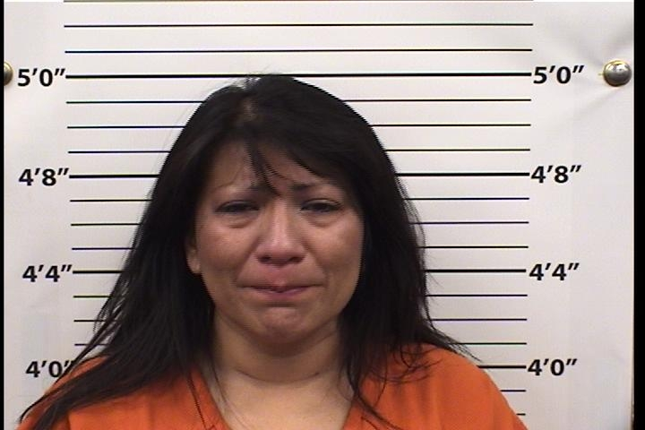 Erika  Mendoza-esquivel Mugshot