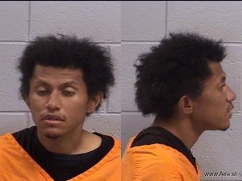 Elijah  Wiggins Mugshot