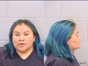 Elisa Pam Irwin Mugshot