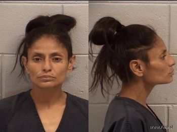 Elizabeth Elaina Gonzales Mugshot