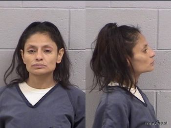 Elizabeth Elaina Gonzales Mugshot