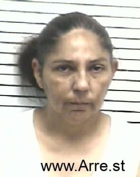 Elizabeth Ann Lopez Mugshot