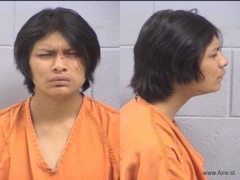 Emerald Taylor Holiday Mugshot