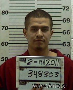 Emilio  Martinez Mugshot