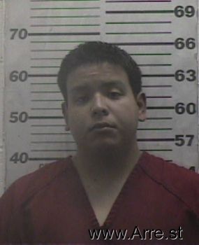 Enrique Tomas Castillo Mugshot