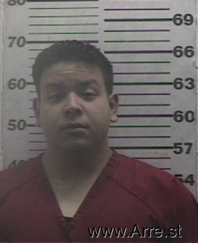 Enrique  Castillo Mugshot