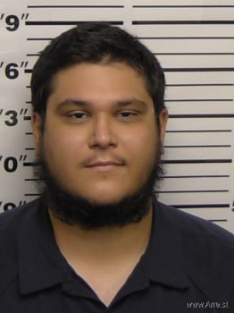 Eric  Gonzales Mugshot