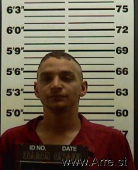 Eric S Hicks Mugshot