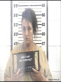 Erica M Chavez Mugshot