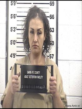 Erica M Chavez Mugshot