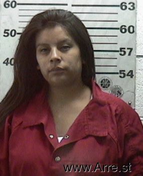 Erica  Gonzales Mugshot