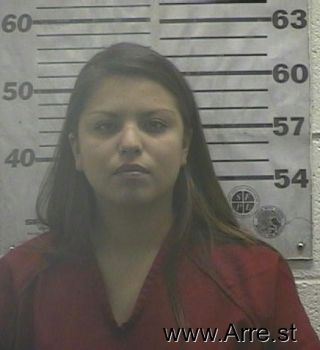 Erica  Rivera Mugshot