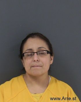 Erica Ann Romero Mugshot