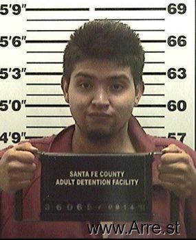 Erick Y Enriquez-portillo Mugshot