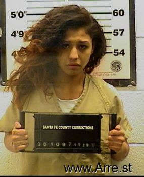 Ericka  Lopez Mugshot