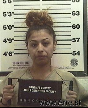 Erika T Lopez Mugshot