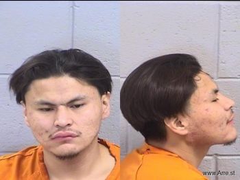 Erland Lee Begay Mugshot