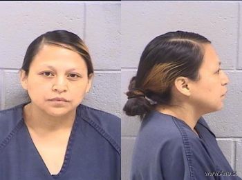 Ervonda Ann Lee Mugshot