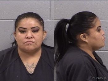 Evangelita  Etcitty Mugshot