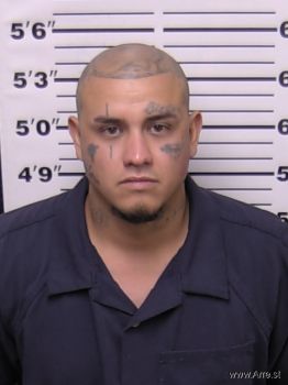 Fabian  Martinez Mugshot