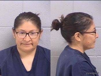 Fawnia Coelene Etcitty Mugshot