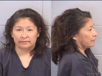 Fawnia Coelene Etcitty Mugshot