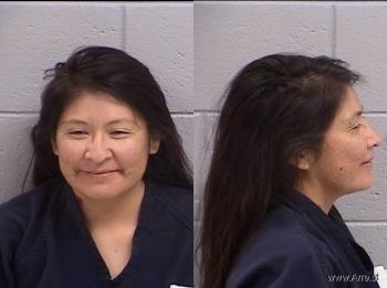 Fawnia Colen Etcitty Mugshot