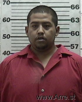 Felix  Salas Mugshot