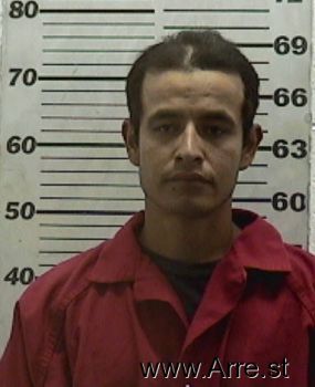 Fernando  Cruz-martinez Mugshot