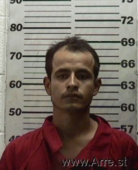 Fernando  Cruz-martinez Mugshot