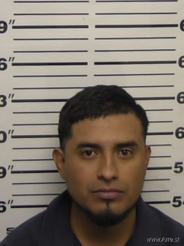 Fernando Ruiz Garcia Mugshot