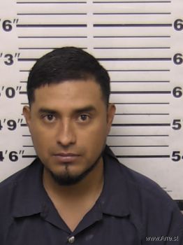 Fernando Ruiz Garcia Mugshot