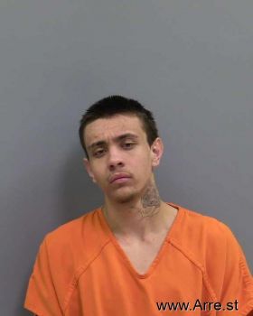 Fidel Ryan Sanchez Mugshot