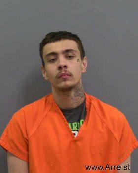 Fidel Ryan Sanchez Mugshot