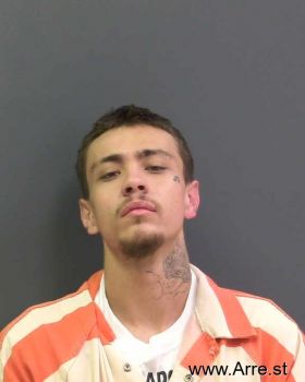 Fidel Ryan Sanchez Mugshot