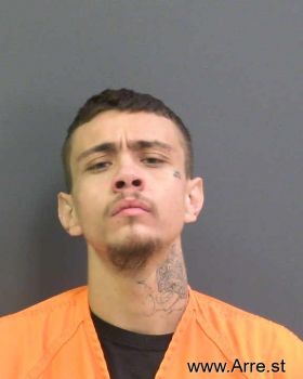 Fidel Ryan Sanchez Mugshot