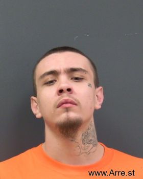 Fidel Ryan Sanchez Mugshot