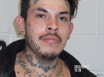 Francisco  Castillo Mugshot