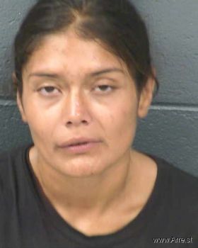 Georgina  Garcia Mugshot