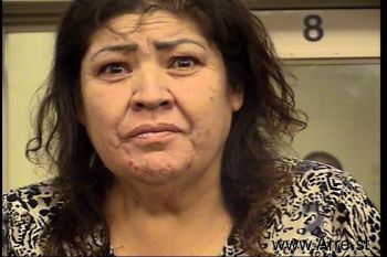 Guadalupe M Gonzalez-arregu Mugshot