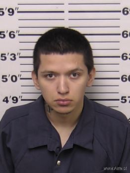 Gabriel  Perez Mugshot